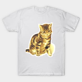 Cat vintage drawing in color Ginger kitten T-Shirt